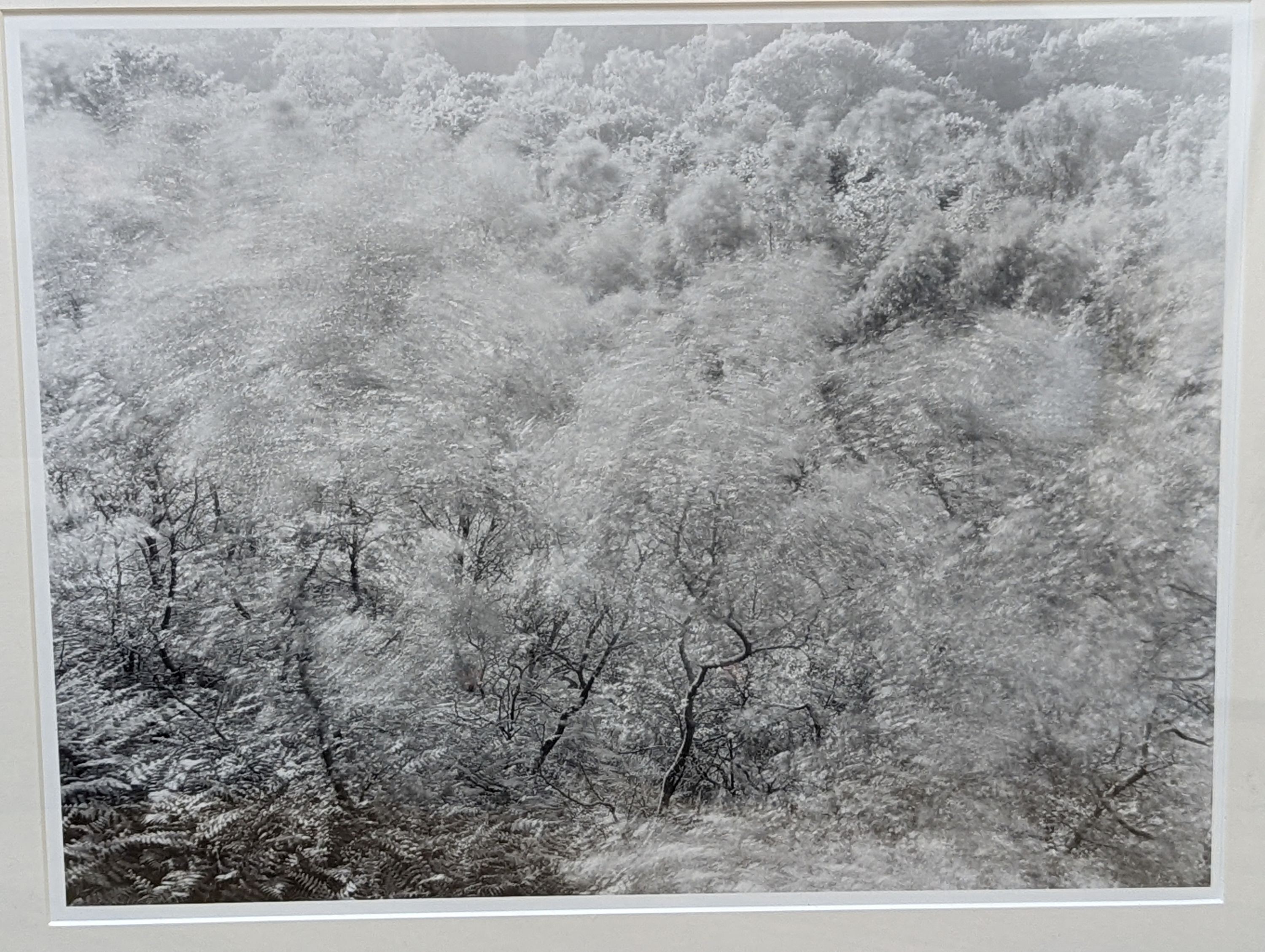 John Blakemore (1936-), six gelatin silver prints, Wind Series 3, 32 x 40cm, Wind Series 2, 32 x 40cm, Amber Gate, Derbyshire, 1981, 31 x 40cm and signed, Wind Series 1, 32 x 40cm, Studio still life, 30 x 22cm and Black